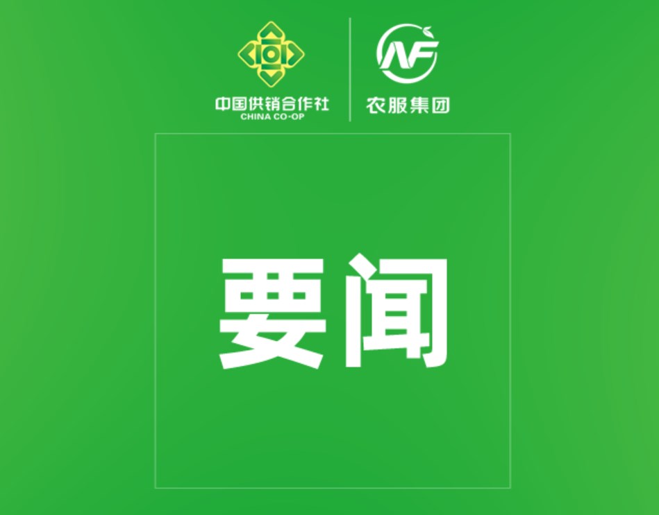 中国共产党第二十届中央委员会第三次全体会议公报
