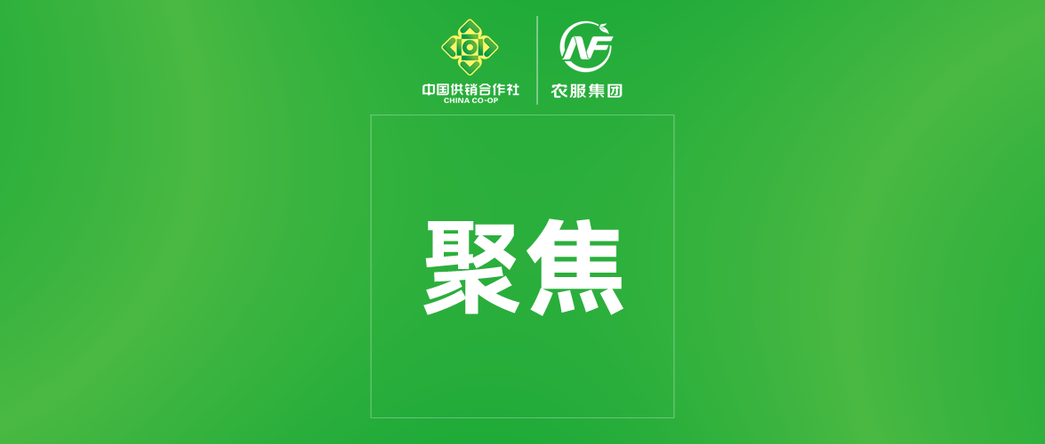 省委常委会召开会议 传达学习习近平总书记有关重要讲话重要指示精神和中央有关会议精神