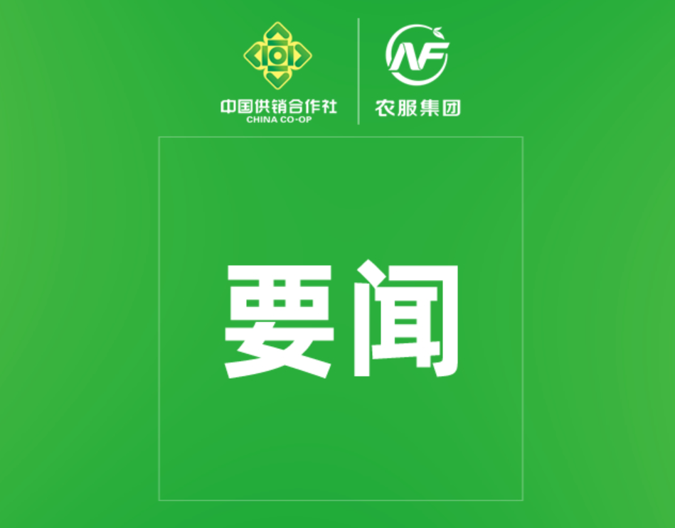 王晓晖主持召开省委农村工作领导小组2024年全体会议强调 坚持不懈夯实农业基础 加快推进我省农业农村现代化 施小琳出席