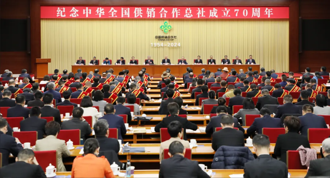 2024，这些生动坐标构成供销合作社改革行进图